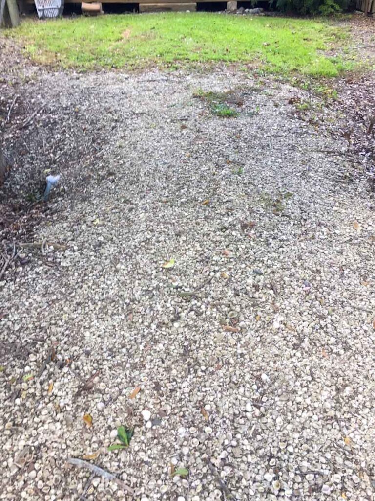 A clam shells road at Volumnia Farm